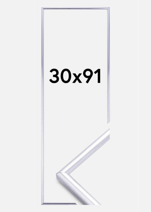 Ramme Decoline Sølv 30x91 Cm