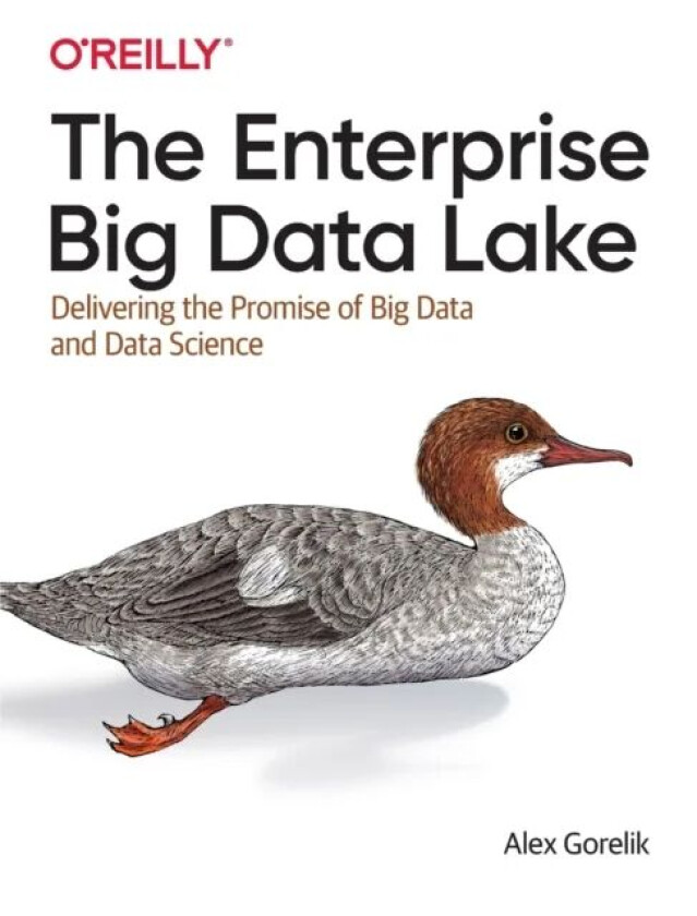 The Enterprise Big Data Lake av Alex Gorelik