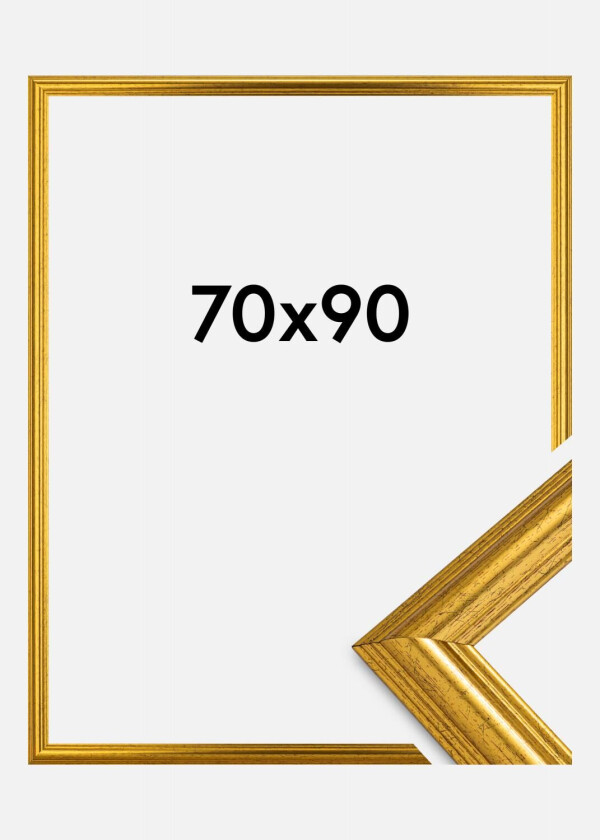 Ramme Västkusten Akrylglass Gull 70x90 Cm