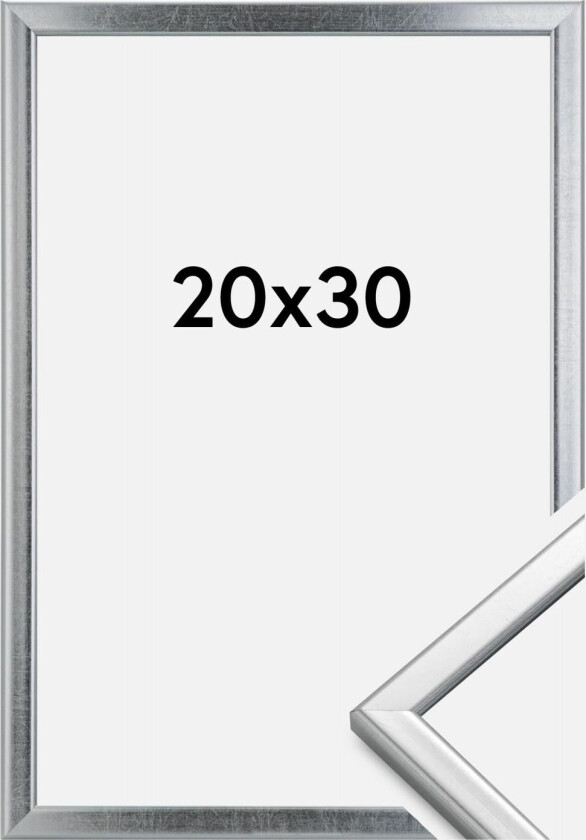 Ramme Slim Matt Antirefleksglass Sølv 20x30 Cm