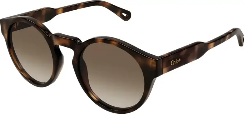 Dame, Accessories, Brun, 52 MM