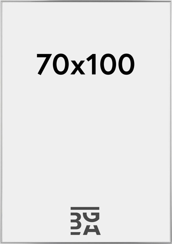 Ramme Hipster Akrylglass Sølv 70x100 Cm