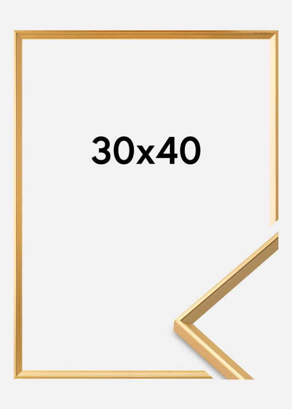 Ramme Desire Akrylglass Gull 30x40 Cm