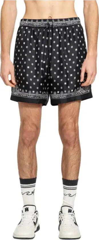 Herre, Shorts, Flerfarget, L