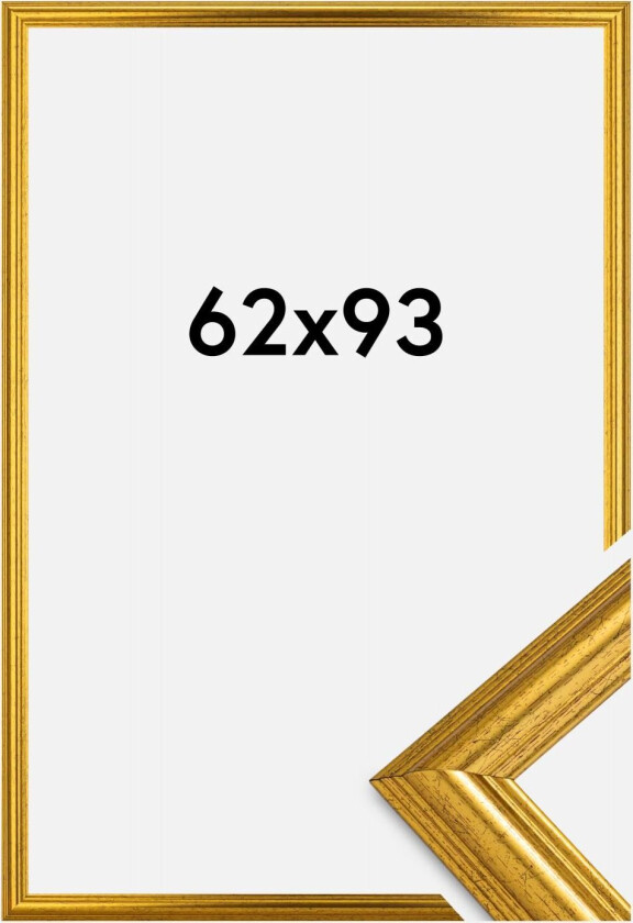 Ramme Västkusten Akrylglass Gull 62x93 Cm