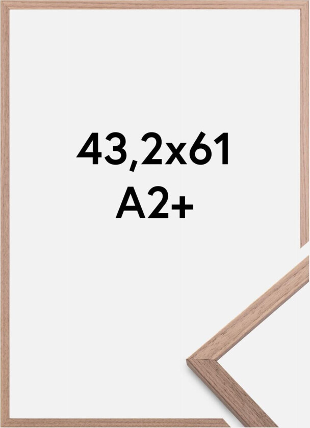 Ramme Edsbyn Akrylglass Lys Valnøtt 43,2x61 Cm (A2+)
