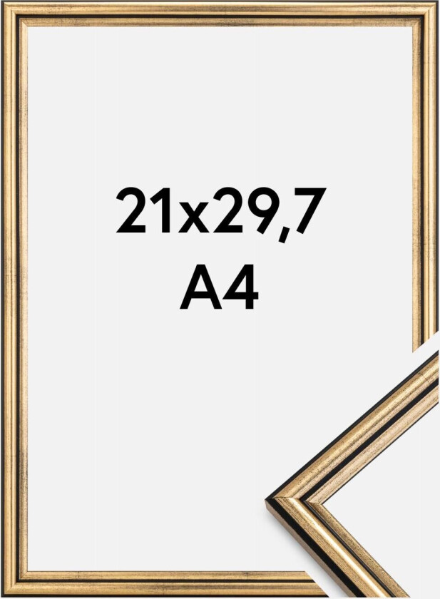 Ramme Horndal Akrylglass Gull 21x29,7 Cm (A4)