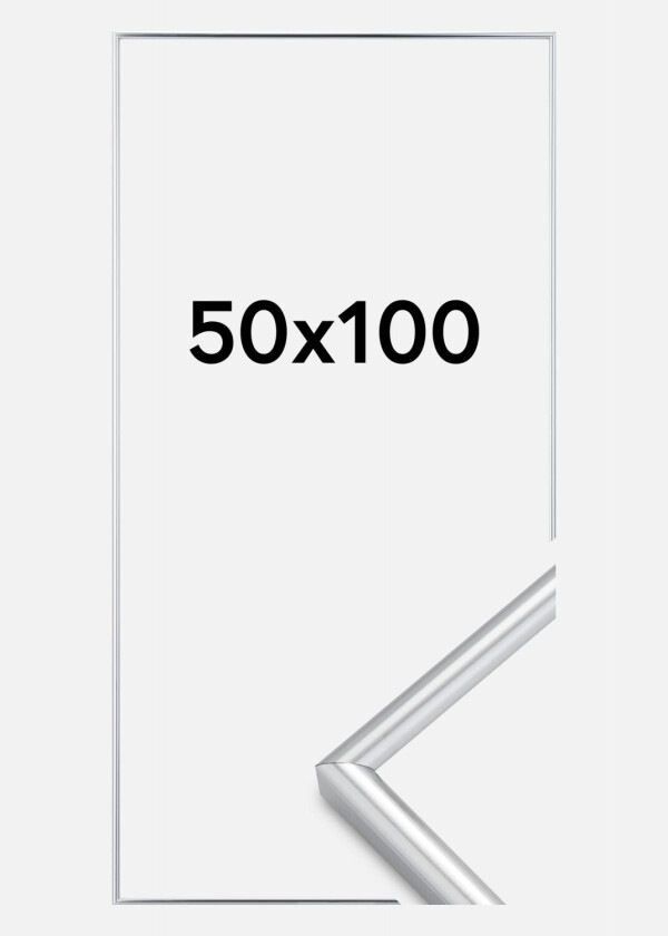Ramme Galeria Sølv 50x100 Cm