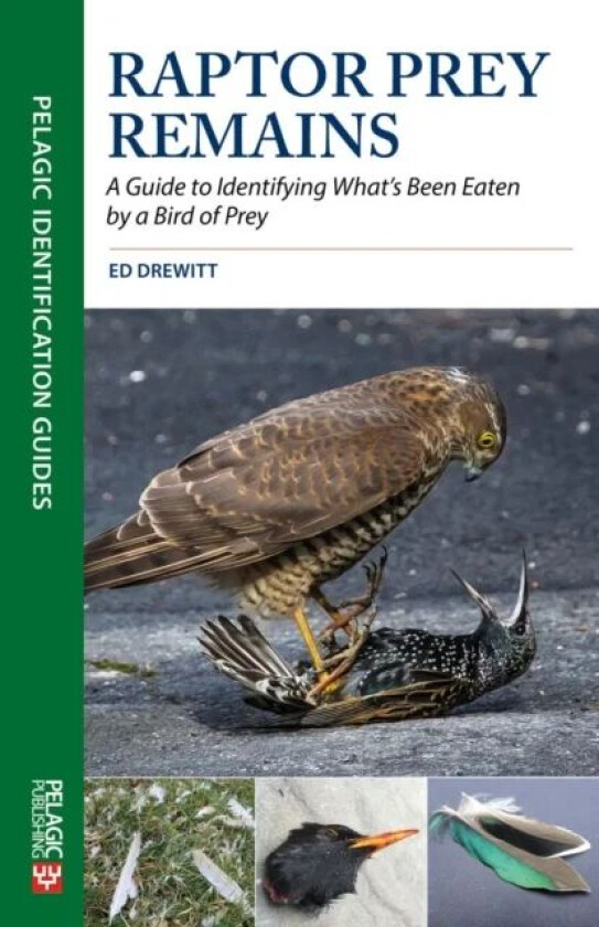 Raptor Prey Remains av Ed Drewitt