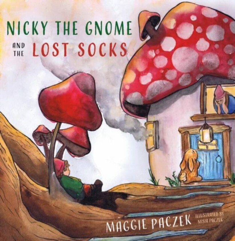Nicky the Gnome and the Lost Socks av Maggie Paczek