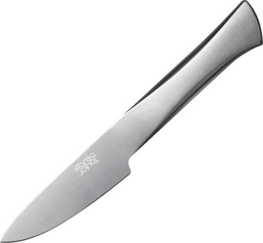 Precision urtekniv 20 cm rustfritt stål