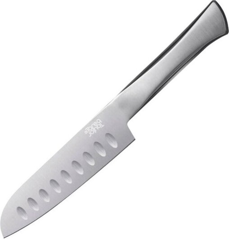 Precision santokukniv 24 cm rustfritt stål