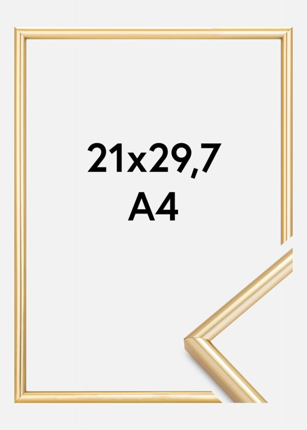 Ramme Galeria Gull 21x29,7 Cm (A4)