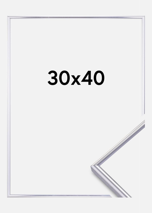 Focus Ramme Can-Can Sølv 30x40 Cm