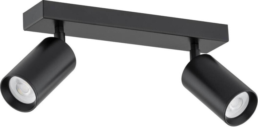 Sado downlight, 2 lyskilder, antrasitt, stål, justerbar