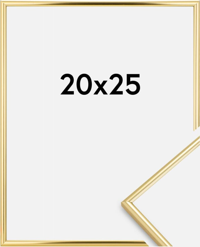 Focus Ramme Can-Can Gull 20x25 Cm