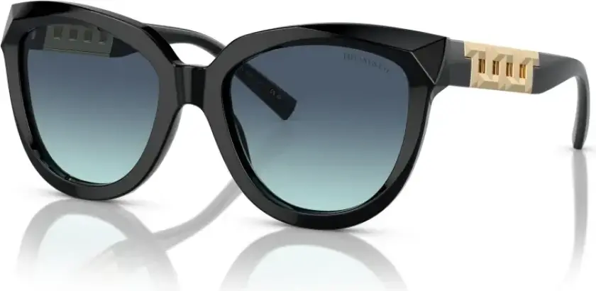 Dame, Accessories, Svart, 53 MM