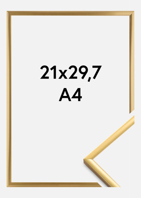 Ramme New Lifestyle Akrylglass Shiny Gold 21x29,7 Cm (A4)