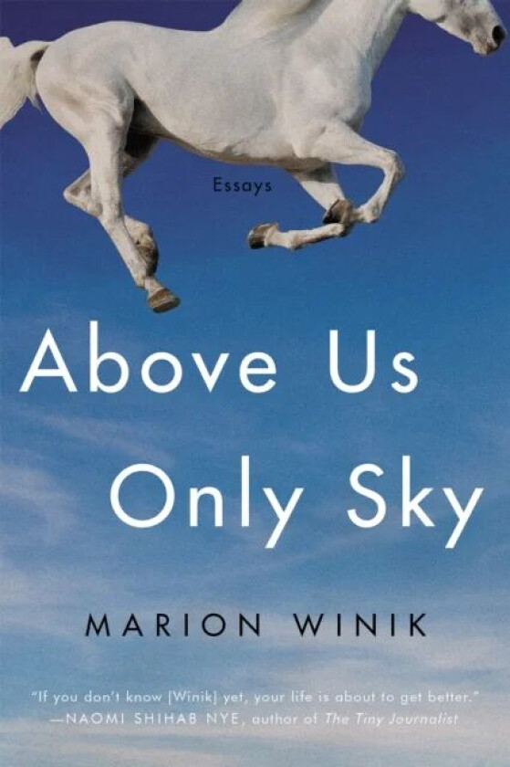 Above Us Only Sky av Marion Winik