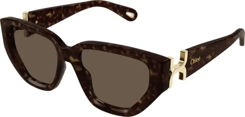 Dame, Accessories, Brun, 55 MM