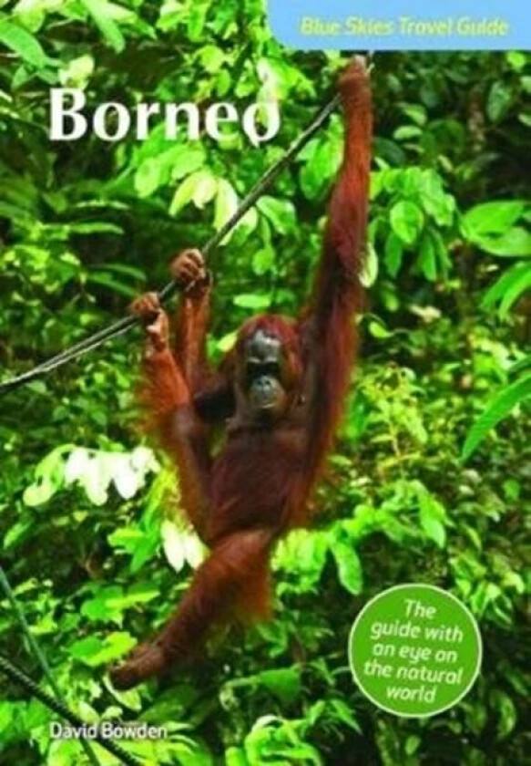 Blue Skies Travel Guide: Borneo av David Bowden