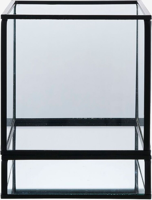 Lysestake Hurricane, Svart