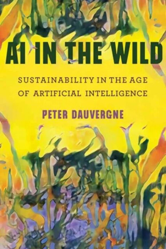 AI in the Wild av Peter Dauvergne