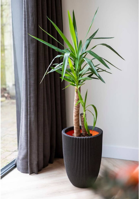 Vase elegant Groove 46x58 cm svart