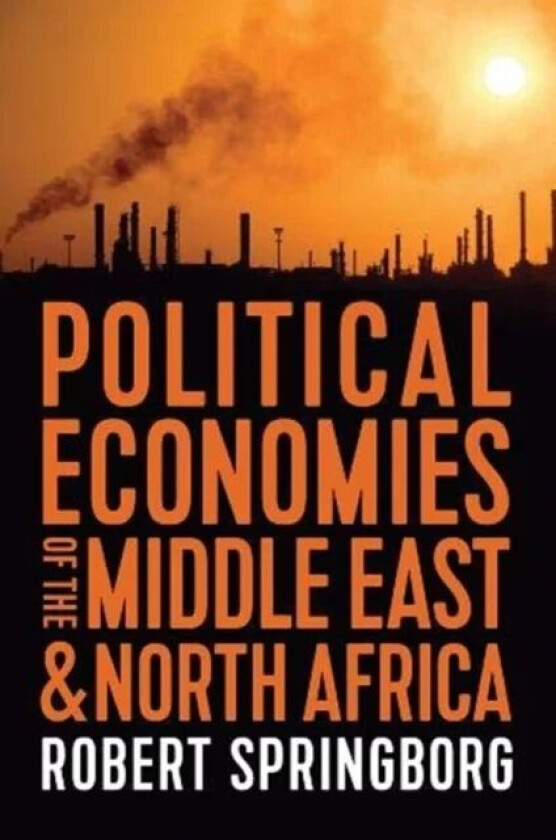 Political Economies of the Middle East and North Africa av Robert Springborg