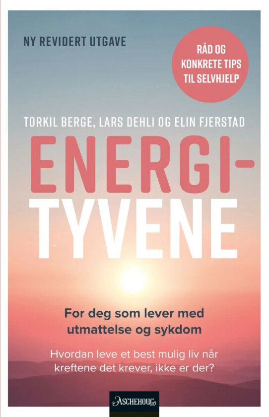Energityvene av Torkil Berge, Lars Dehli, Elin Fjerstad