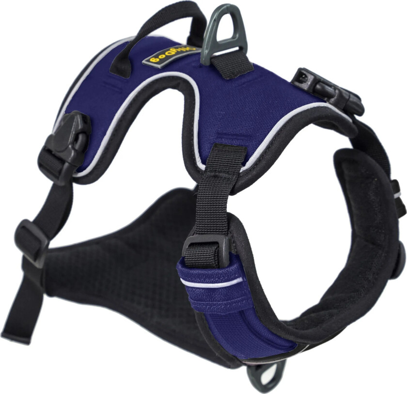 Alpine Reflective Harness S, Atlantic