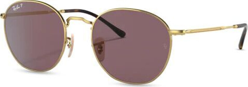 Rob Arista Dark Violet Polarized Dark Violet Polarized unisex