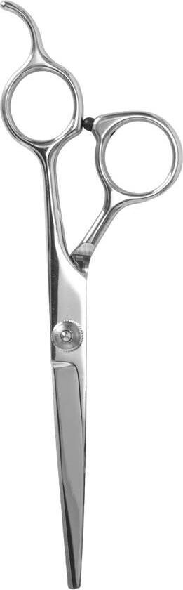 Hair Scissors