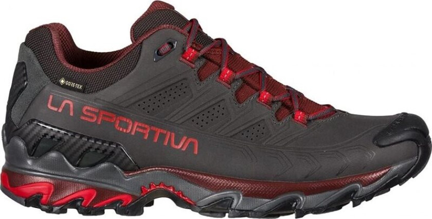 Ultra Raptor II Leather GTX Carbon/Spice