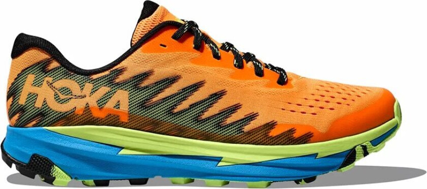 Torrent 3 Herre Solar Flare/Lettuce 47 ⅓