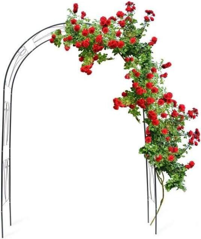 Rosebue med bærende ornamenter