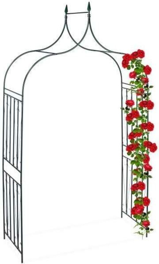 Rosebue med dekor