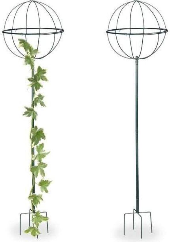 Trellis globus satt i to