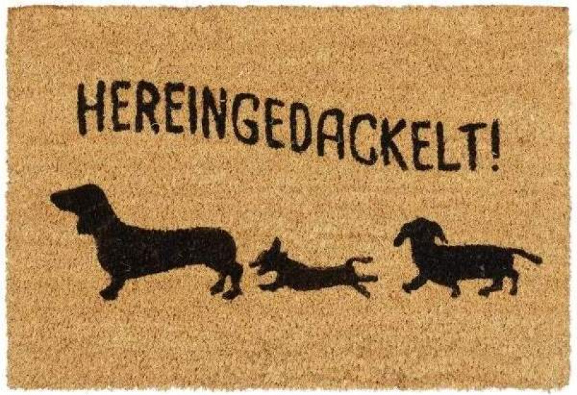 Dørmatte i kokos "Hereingedackelt"