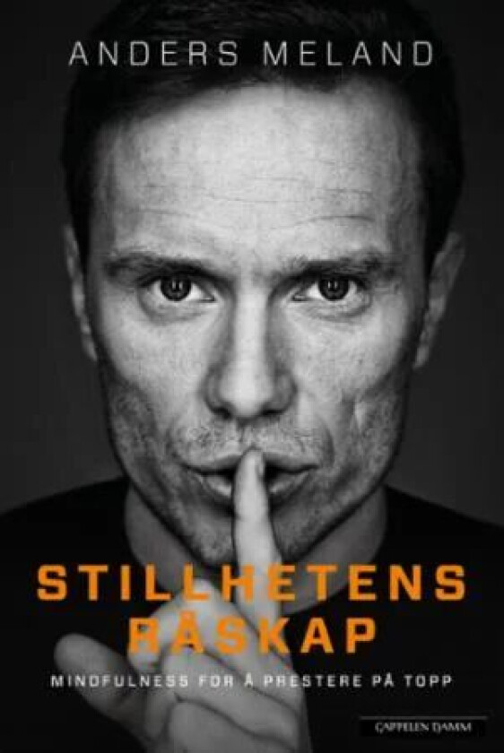 Stillhetens råskap av Anders Meland