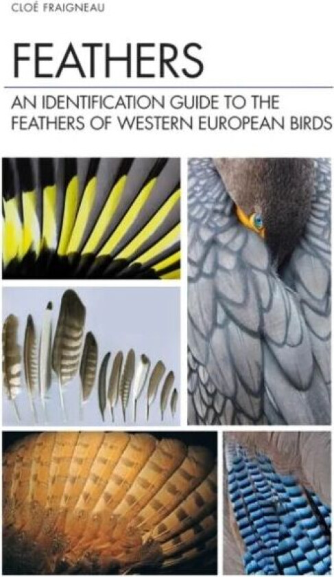 Feathers av Cloe Fraigneau