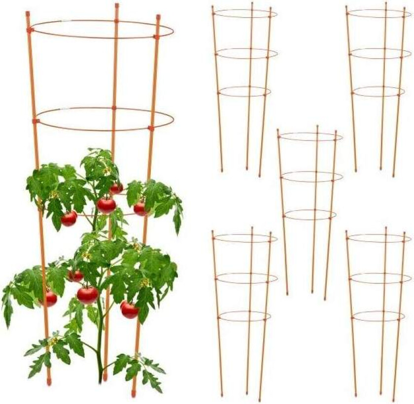 Plantestøtte 76 cm oransje, sett med 6 stk