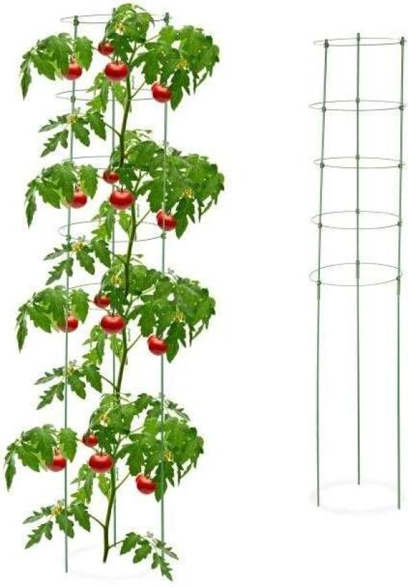 Bilde av Plantestøtte 150 cm, sett med 2 stk