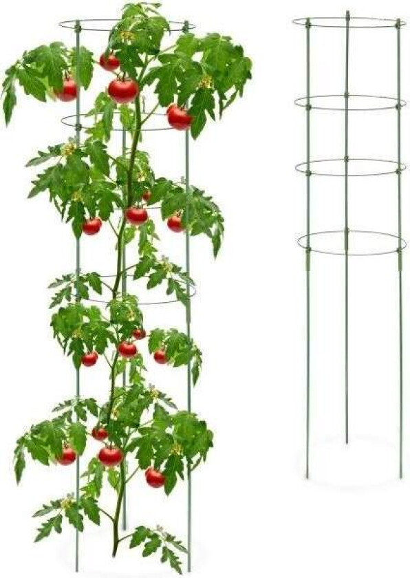 Plantestøtte 120 cm, sett med 2 stk
