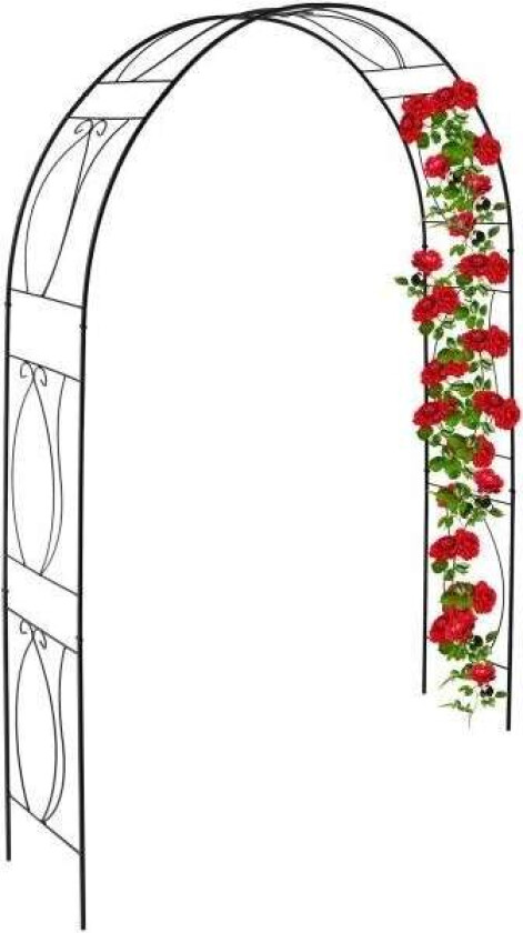 Svart rosebue
