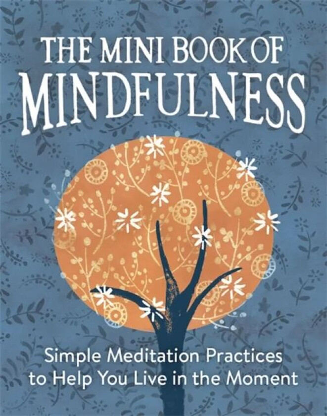 The Mini Book of Mindfulness av Camilla Sanderson