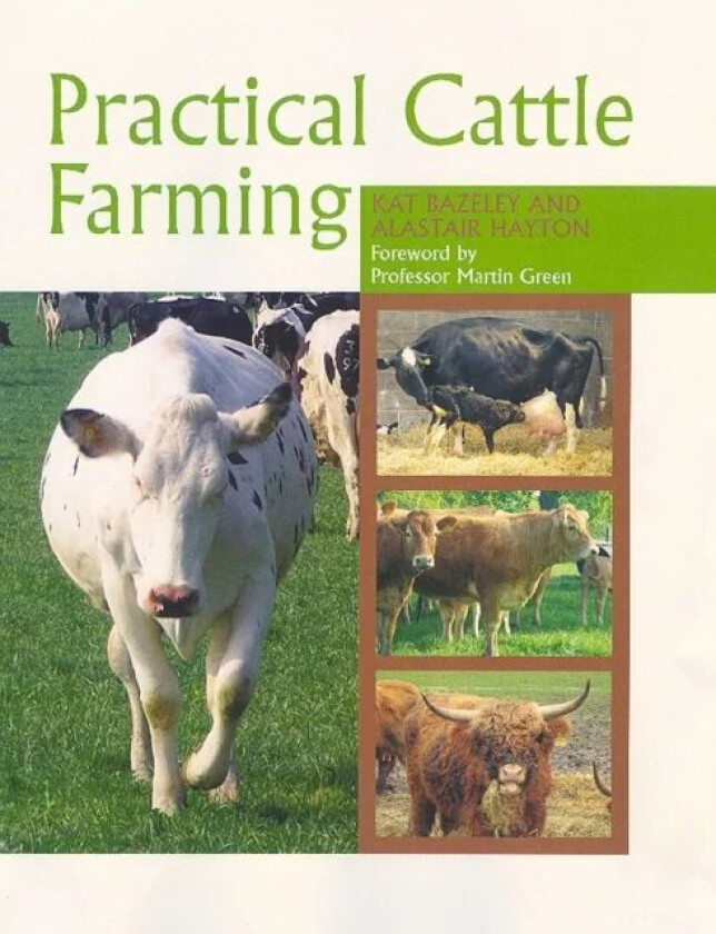 Practical Cattle Farming av Kat Bazeley, Alastair Hayton