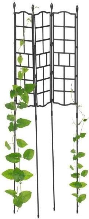 Trellis sett på 3 124 cm