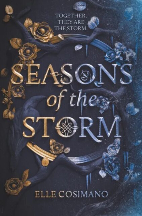 Seasons of the Storm av Elle Cosimano