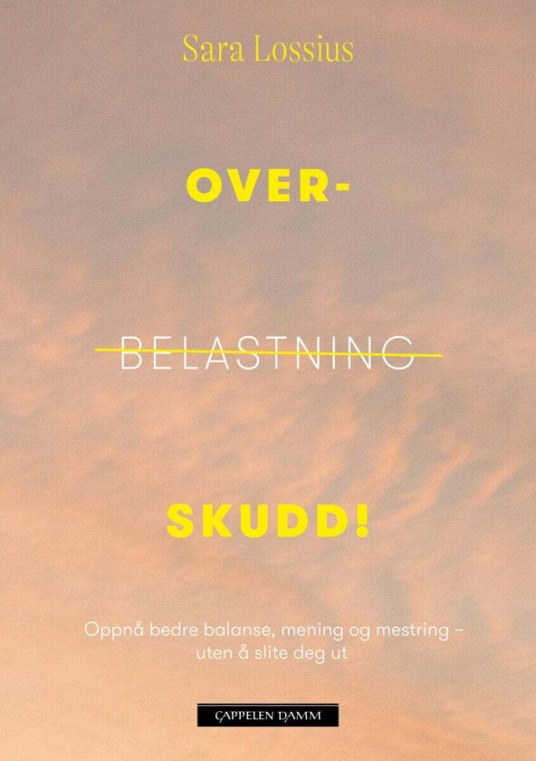Overskudd! av Sara Lossius